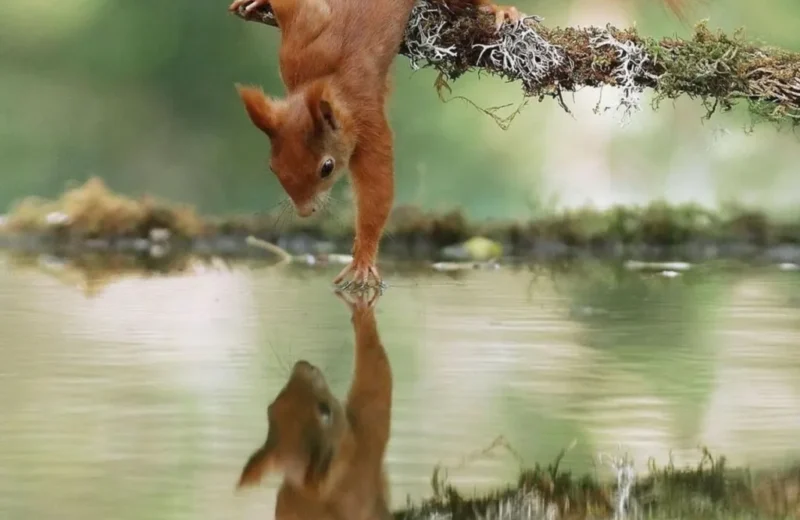 O que eu faço com isso?