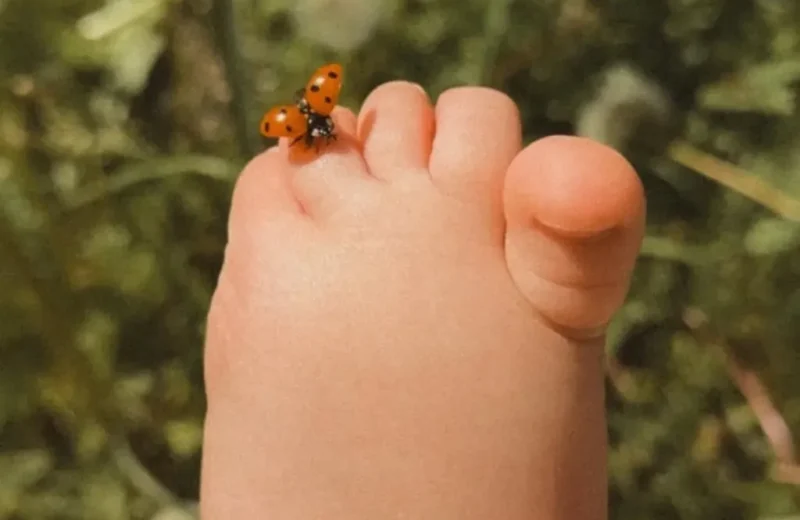Palavras palavronas