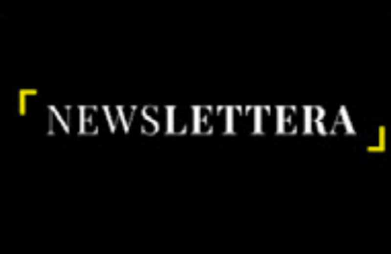 Revista NewsLettera